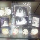 백호농장 이미지