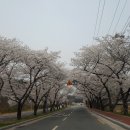 김유신장군로 이미지