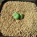 커피내음 이미지