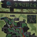 맑은숲 이미지