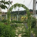 금구 溫 이미지