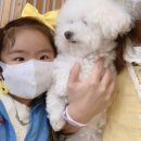 주주동물병원 이미지