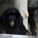 주인농장 이미지