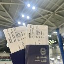 신세대다육 | 청주 출발 칭다오 2박3일 자유여행 코스 1일차 : 공항 디디택시, 메이디얼, 중산로, 꼬치거리 유향거...