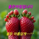 하지커피