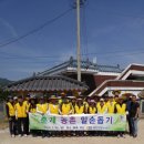 대전지방국세청 이미지