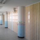 대구대진초등학교 이미지