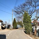 정자형가옥 이미지