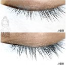 디바브로우 네이버블로그