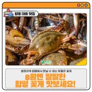 팔팔몰 이미지