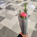 진스플라워 네이버블로그