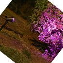 쇼핑나라 이미지