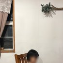 제주도작은집 작은별 이미지