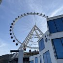 (주)여수예술랜드 | 여수 가족여행 필수코스, 여수예술랜드 타워링 대관람차 낮 뷰 후기