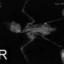 동물병원 All Pets 이미지