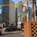 양재바른정형외과의원 이미지