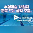 신기스포렉스 이미지