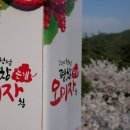 평창오미자영농조합법인 이미지