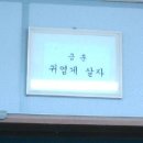 오파킹 네이버블로그