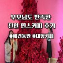 카페041 | 천안 애견동반카페 찾다가 다녀온 핀스커피 내돈내산 후기