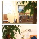 리나리빙 이미지