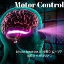 모토발란스