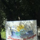 Stingray City, Antigua — 맑은 바다 위에 남겨두고 온 작은 아쉬움 이미지