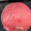 24시 더케어 동물의료센터 이미지