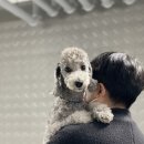 봉담 2지구 상리 24시 세차 &gt;&gt; 컴인워시 첫 이용 후기