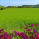 학암농장 이미지