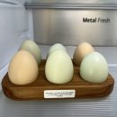 오로지(orogee) 이미지