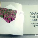 강기화 카카오 검색결과