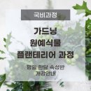 [국비지원][07/04] 사진촬영, 조명 초급과정, 개강확정 | [국비지원] 서울 신촌 가드닝 원예식물 플랜테리어 과정 내일배움카드 한달속성반 안내