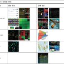 디지털 미디어 환경에서의 효율적 의사결정을 위한 금융데이터 시각화에 관한 연구 이미지