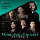 독일 카를스루에 국립극장 오페라 갈라 콘서트 이미지