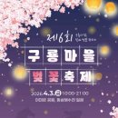 [부산/영도] 2026 구룡마을 벚꽃축제, 단 하루의 분홍빛 마법 속으로 이미지