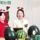 정읍원예농업협동조합 이미지