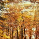 BOB영등포점 이미지