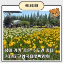 닥터크린랜드 | 2026 고양국제꽃박람회 내돈내산 방문후기, 주차꿀팁 관람꿀팁