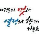 용인대 미르 태권도 이미지