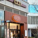 카페CCD 부산송도점 네이버블로그