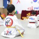 고려태권도장 이미지