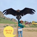 시냇가세탁나라 | 2024. 고대하던 6월 여름의 몽골! 교원투어 패키지_내돈내산 3박4일 (DAY2)