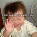 레이메이 이미지