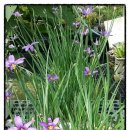 삽재농장 이미지