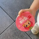 울산 삼산 고기집 회식장소추천 : 홍이집 생갈비&amp;샐러드바 후기