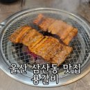 용보관 | 울산 삼산동 맛집 용갈비 농수산물근처 돼지갈비 저렴한 고기집