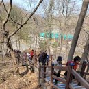 3/24(일) 서울대공원 산림욕숲길 트레킹 후기 이미지