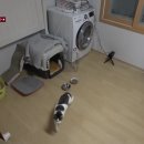 방막농장 이미지