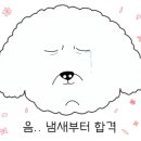 마9잡2 이미지